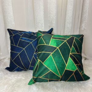 Throw Pillow and Case Set